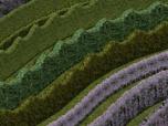 Hecken als 3D-Splines, Set2