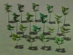 Kleine Laubb�ume (3D)