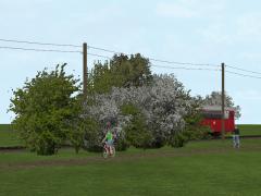 Fr�hlingsb�ume und -b�sche