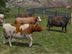 kinematisch animierte Gro�tiere f�r den Einsatz als Omegas und Rollmaterial