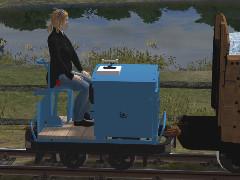 600mm Struever Schienenkuli LLB II (V11NKK10132 )