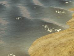Kinematisch animierte Elemente / Meer-Set 1 (V12NSP10036 )