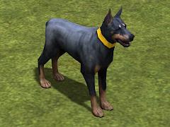 Hunde-Set - Dobermann (V14NMS70062 )