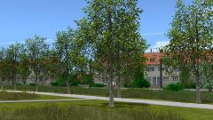 Vegetations Set (V14NMS70106 )
