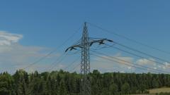 Hochspannungsmasten-System: Isolatoren zum Anschluss an die Bahnstrom-Unterwerke von RG3 (V15KTU10003 )