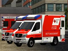 RTW DRK Frankfurt am Main (V15NMT20019 )