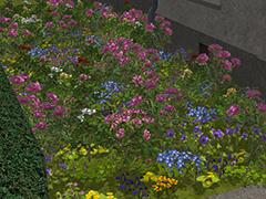 Blumen (Garten Set 6) (V15NNR10061 )
