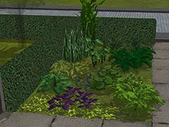Pflanzen (Garten Set 7) (V15NNR10062 )