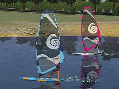 Windsurfer (V15NSM20148 )