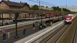 Zeitlos &uuml;ber Stock und durch Stein (V15NTB10111 )