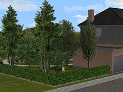 Hecken (Garten Set 1) (V16NNR10053 )