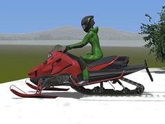 Snowmobile / Motorschlitten (V16NSM20152 )