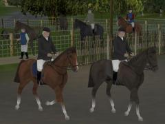 Reitsport Set 1 (V60NBH10205 )