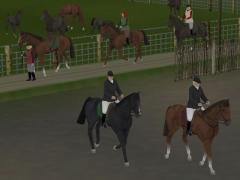 Reitsport Set 2 (V60NBH10207 )