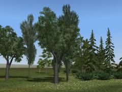 Modellset aus dem Plug-in 2 zu EEP7.3 (Userwunsch!) (V70NDU10022 )