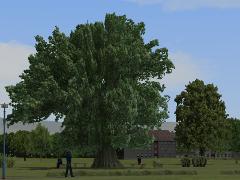 Vegetations-Set Laubb�ume