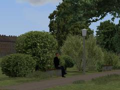 Vegetations-Set Str�ucher und Stauden
