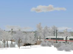 Winterbuschset