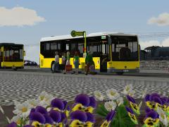 Mercedes Bus Citaro LE &Uuml; (V70NUK20011 )