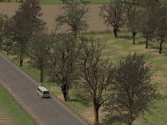 Laubb�ume - blattlos