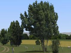Birnb�ume, Weiden, Linden und B�sche