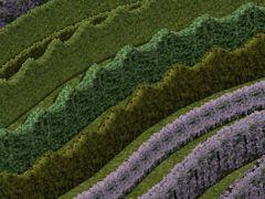 Hecken als 3D-Splines, Set2