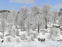 Winterliche Laubb�ume und B�sche